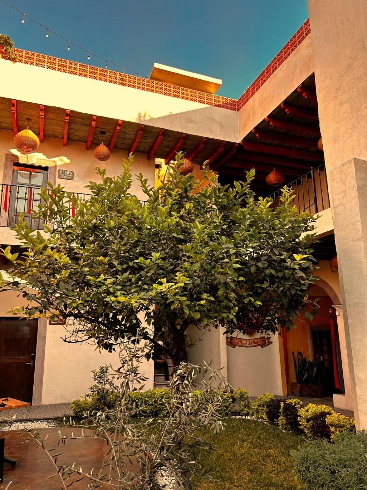 سان ميغيل دي الليندي Bito'S Hotel Boutique المظهر الخارجي الصورة